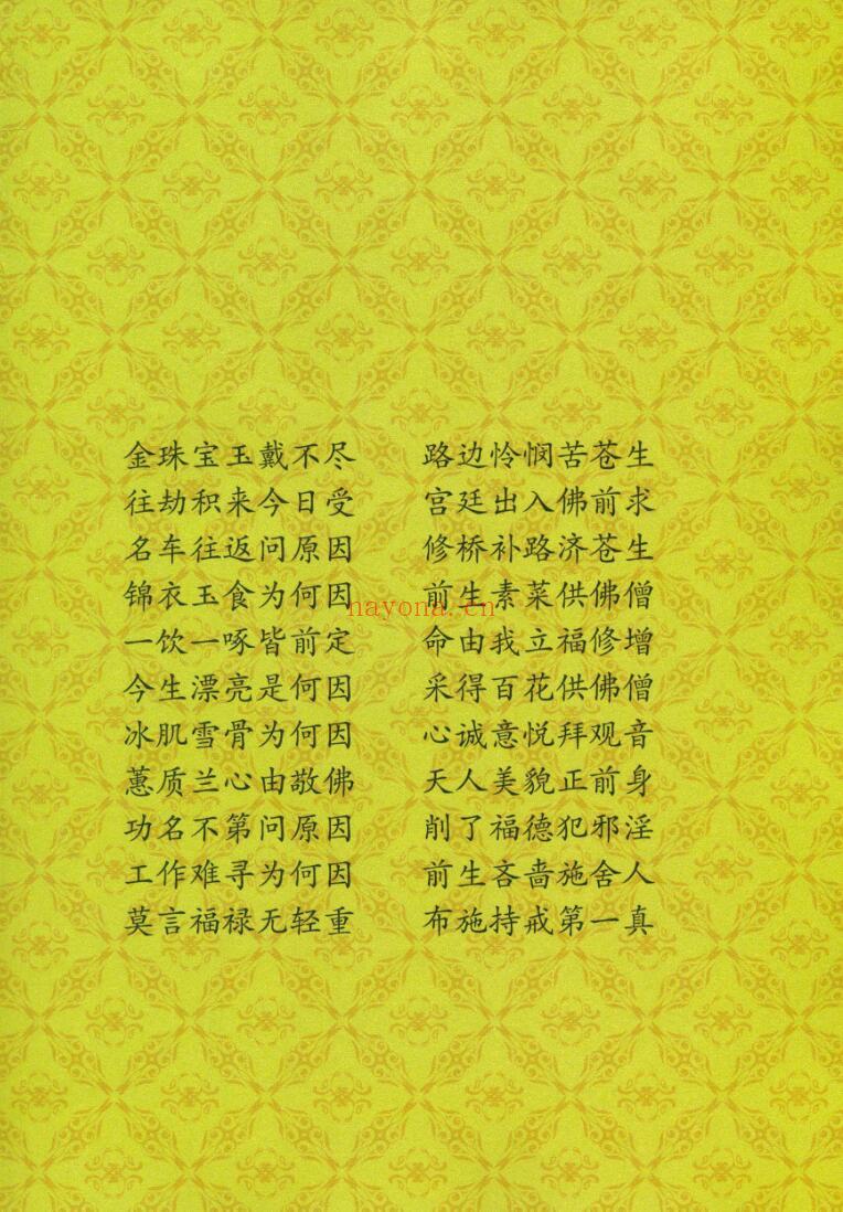 阴律无情