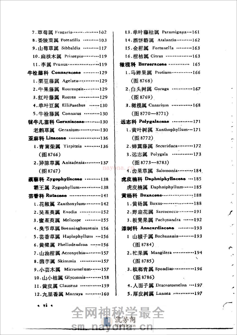 中国高等植物图鉴.补编第二册 - 第8页预览图