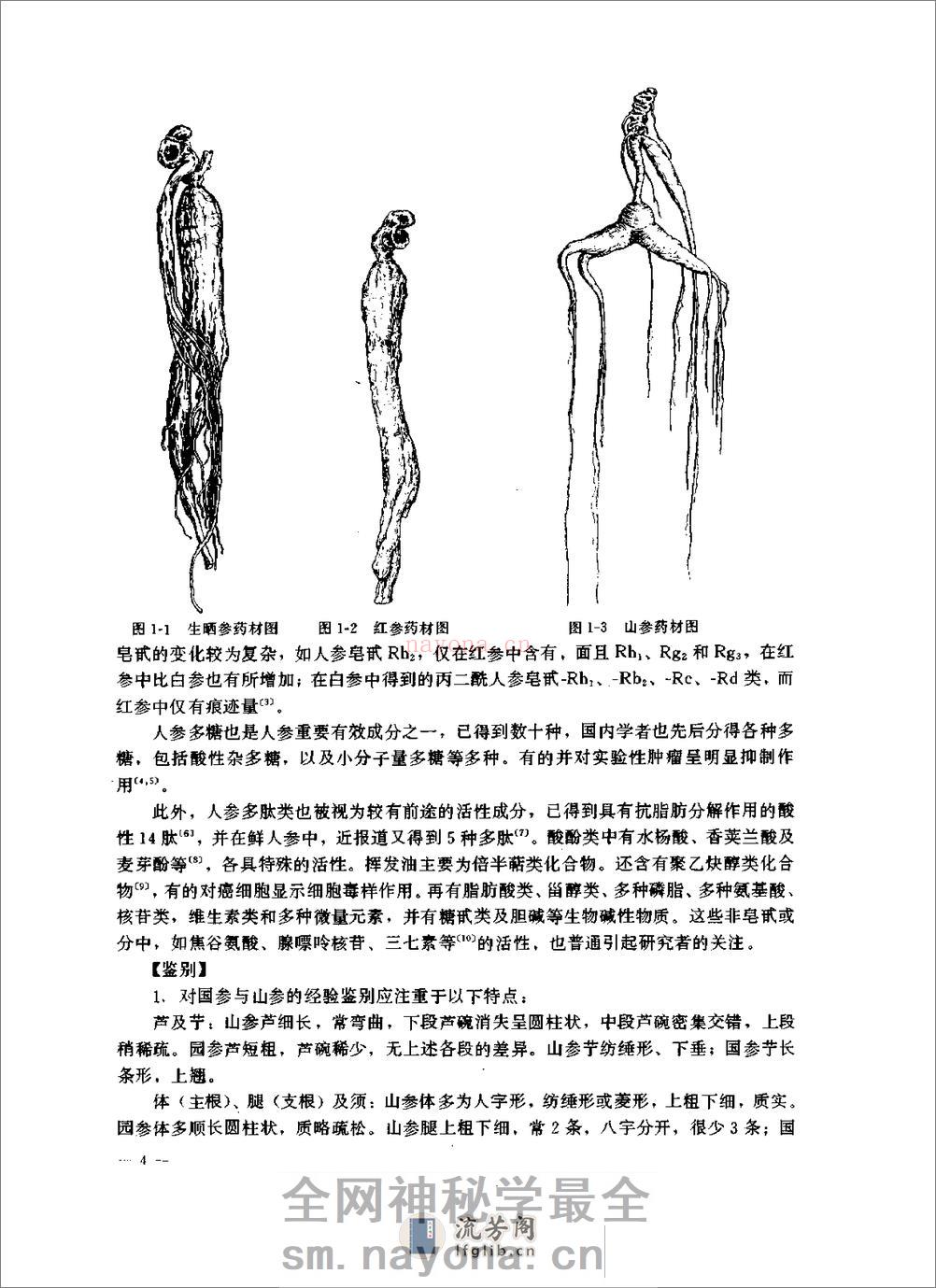 现代实用本草（上、中、下册） - 第14页预览图