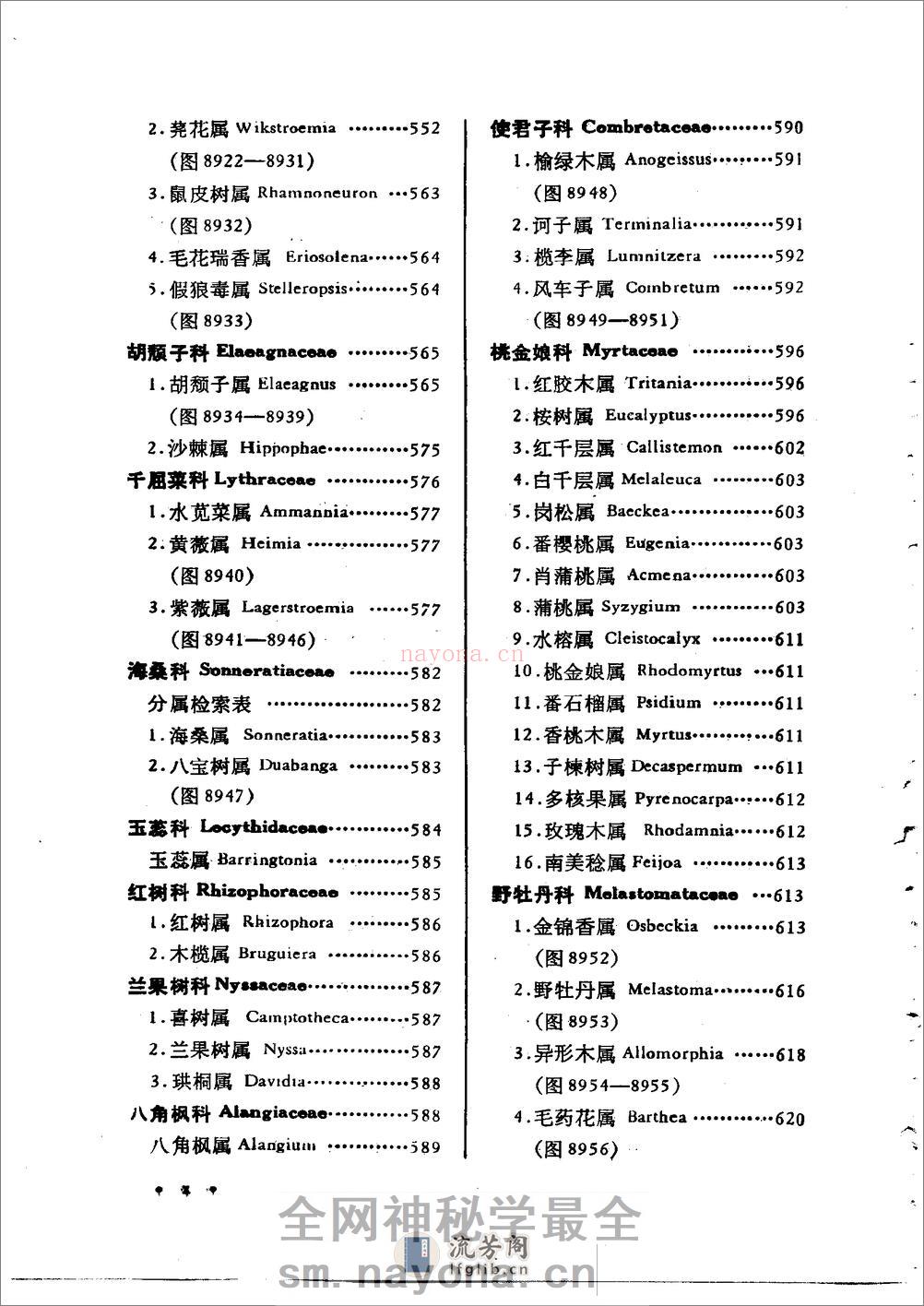 中国高等植物图鉴.补编第二册 - 第12页预览图