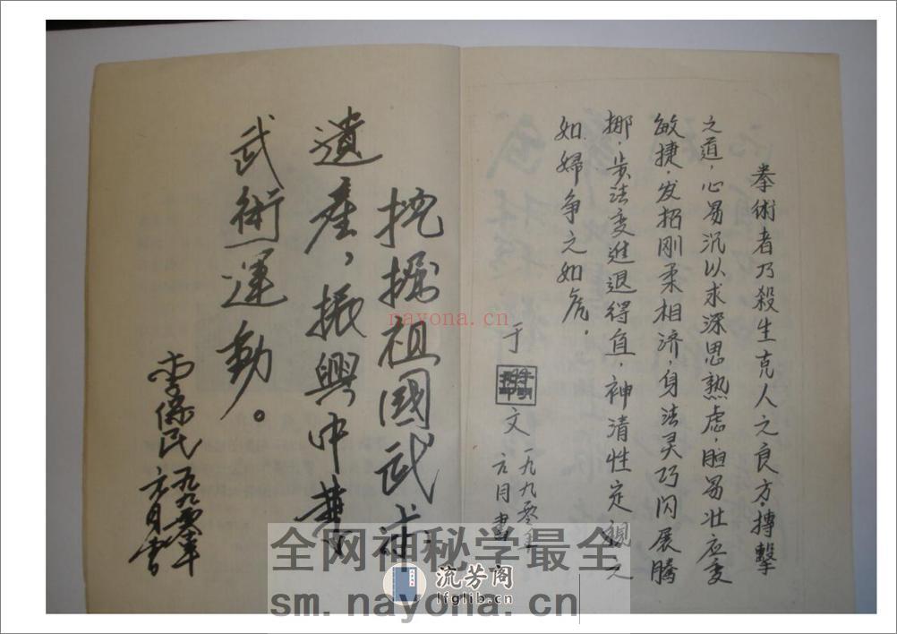 《心意六合拳》李新民 - 第4页预览图