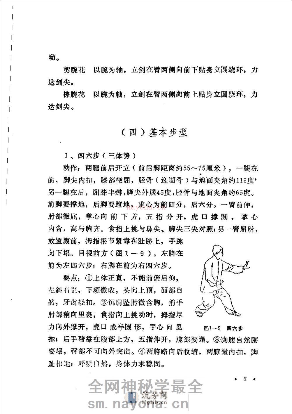 《形意剑术》刘玉增 - 第9页预览图