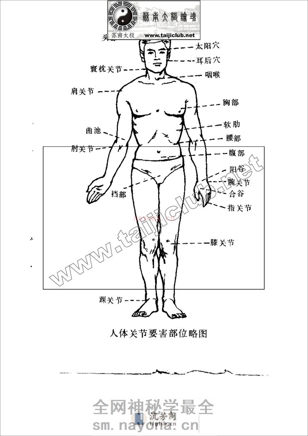 《擒拿与反擒拿》 - 第6页预览图