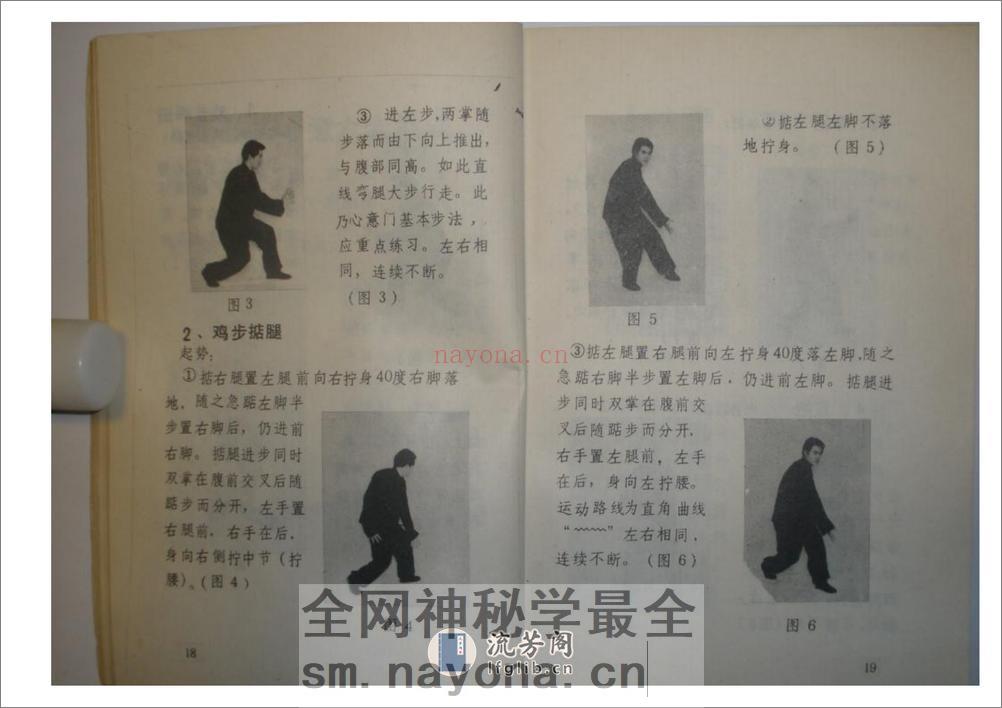 《心意六合拳》李新民 - 第17页预览图