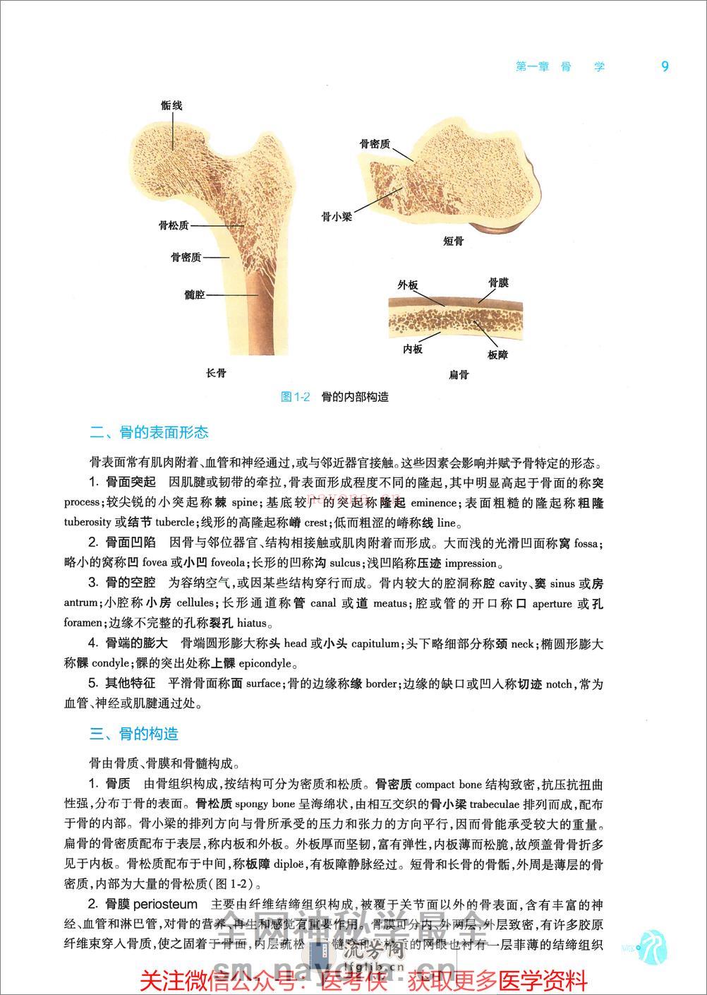 《系统解剖学》人卫第9版教材--高清彩色 - 第19页预览图