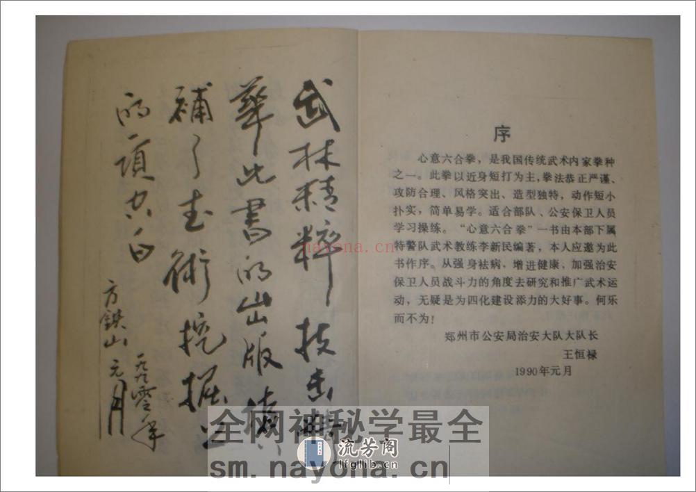 《心意六合拳》李新民 - 第5页预览图