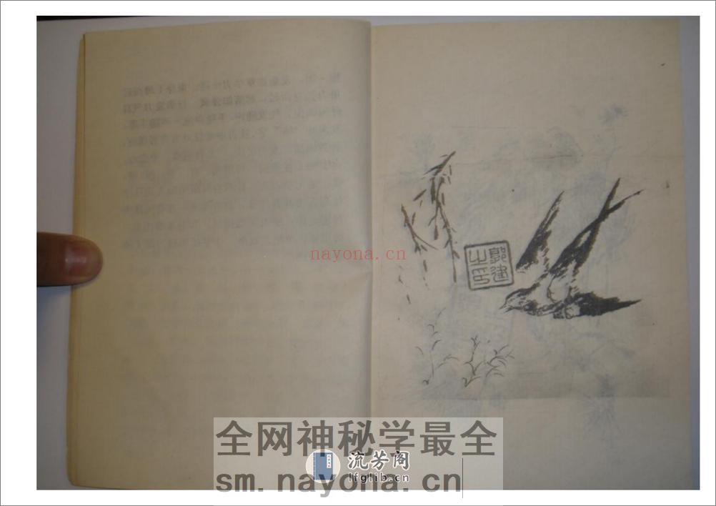 《心意六合拳》李新民 - 第14页预览图