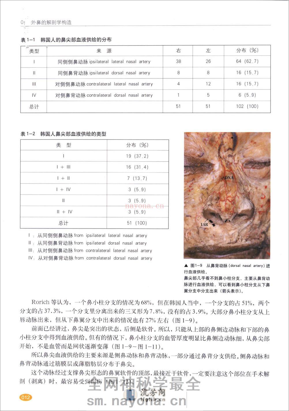 现代韩国鼻整形 - 第14页预览图