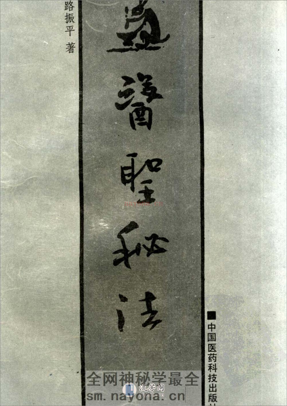 医圣秘法.路振平 - 第1页预览图