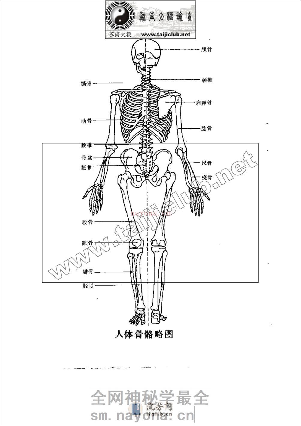 《擒拿与反擒拿》 - 第5页预览图