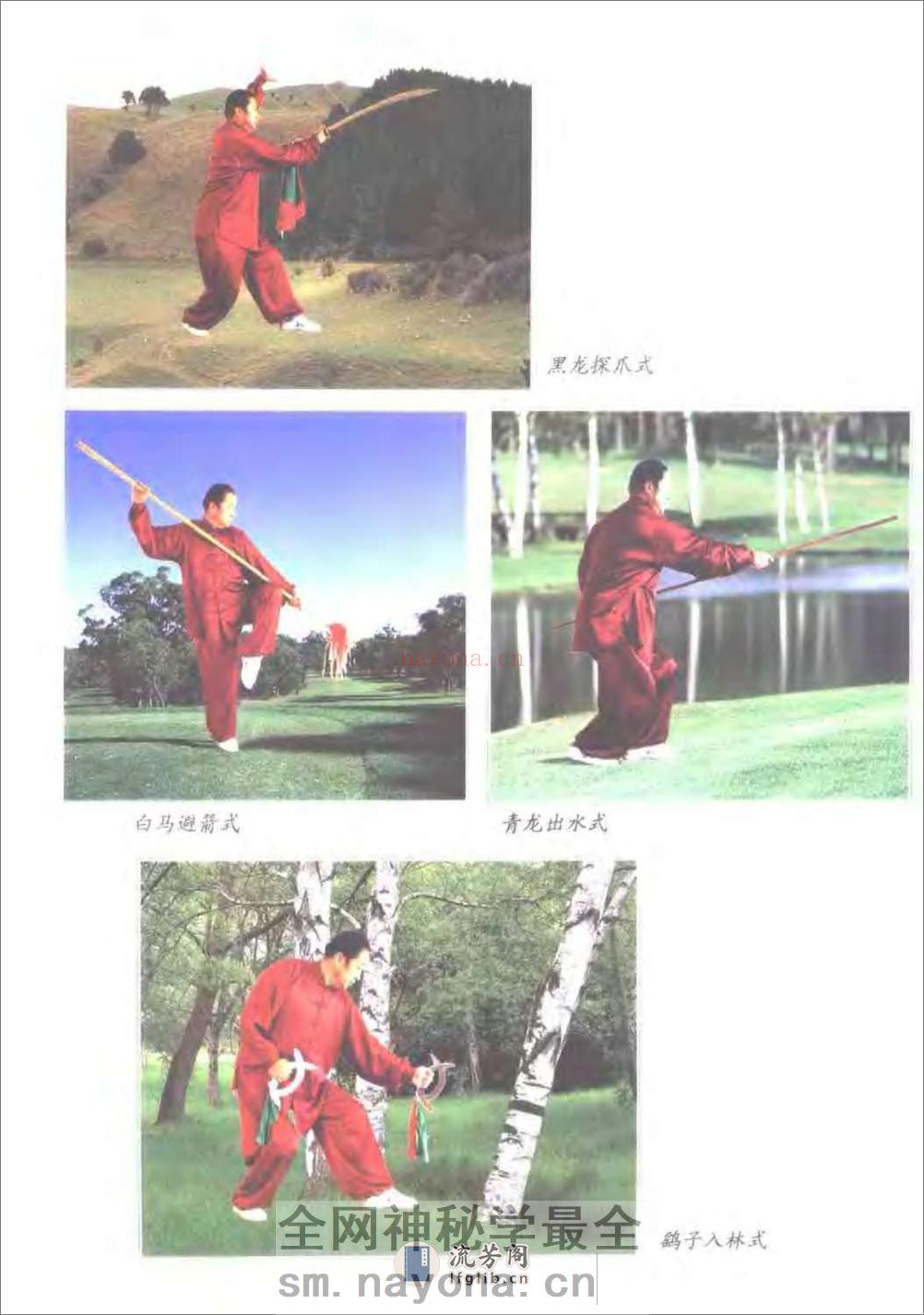 《中国尚氏形意拳》苏立志 - 第7页预览图