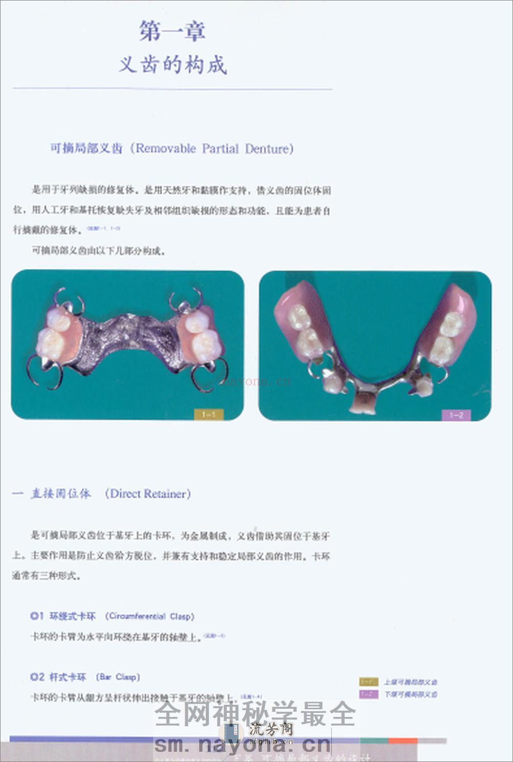 可摘义齿 - 第1页预览图