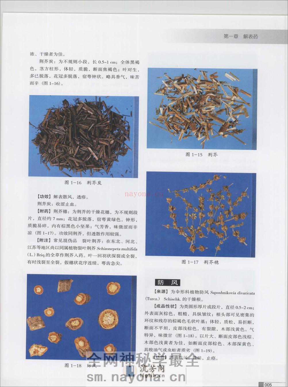 常用中药炮制品彩色图谱（高清版） - 第16页预览图