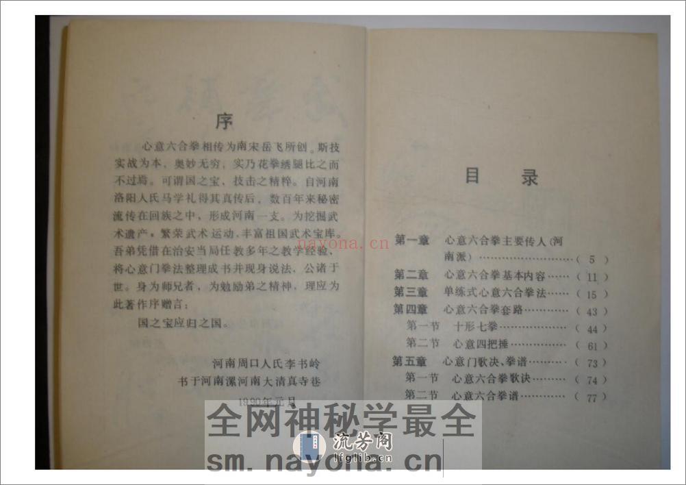 《心意六合拳》李新民 - 第7页预览图