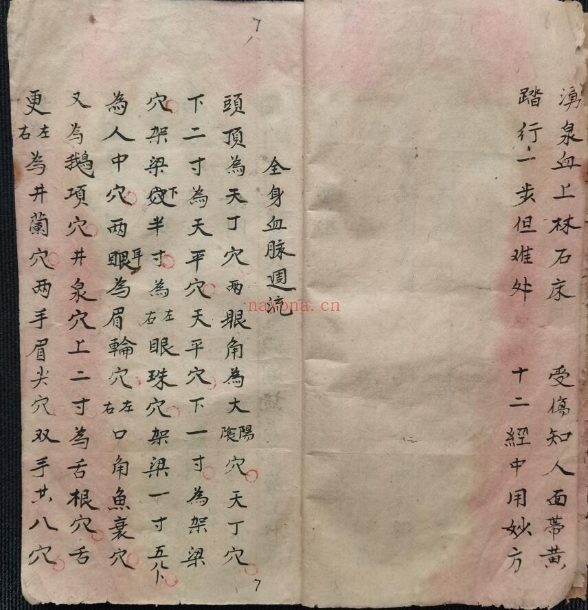 《 十二时辰穴位》