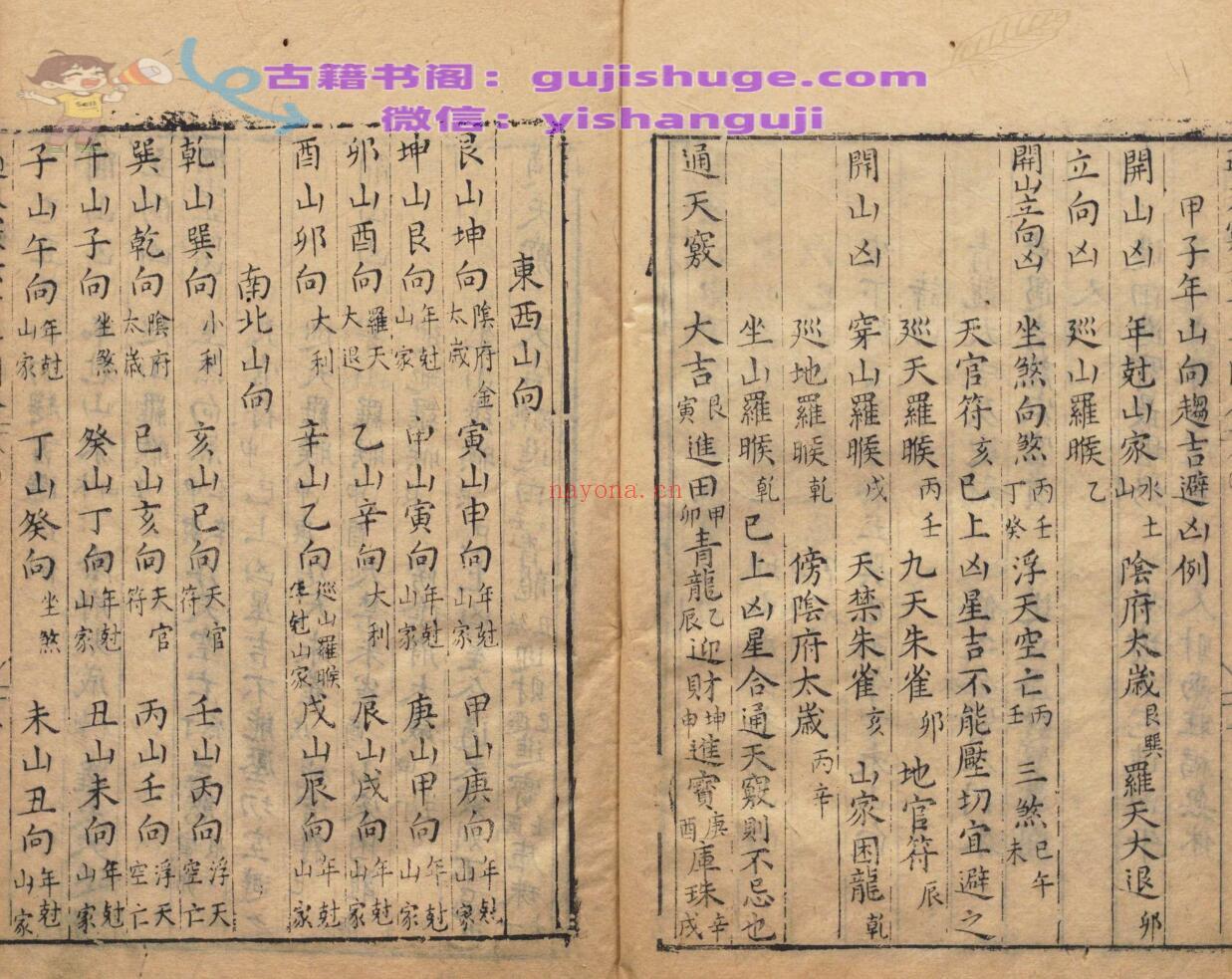 通天窍