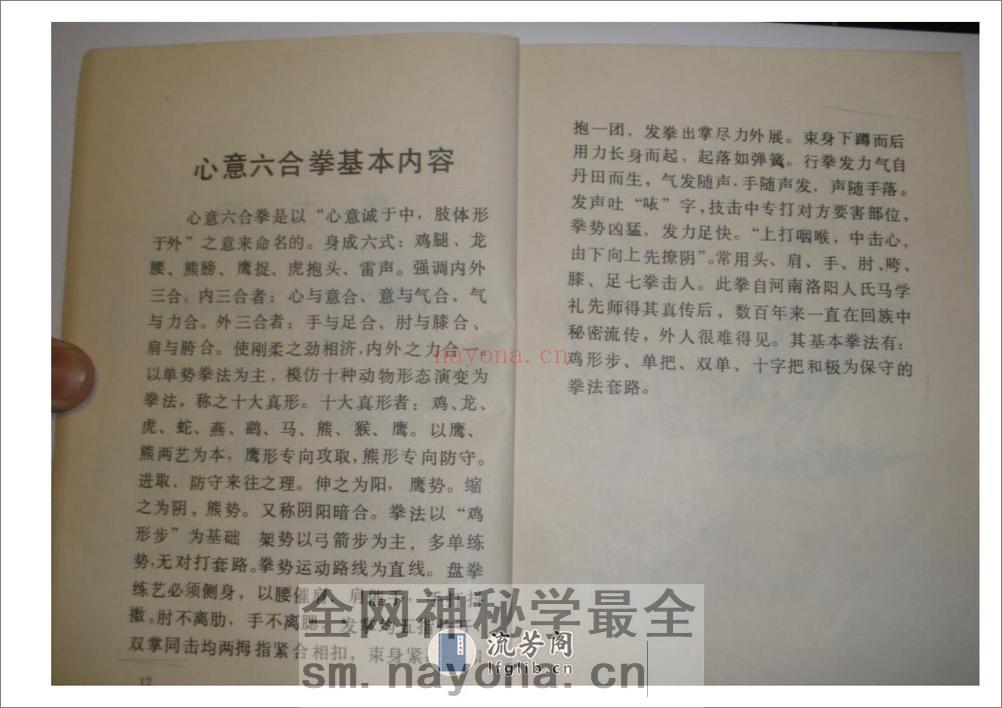 《心意六合拳》李新民 - 第13页预览图