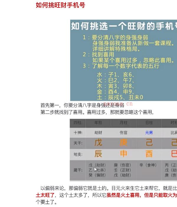 25年九龙道长八字笔记PDF文档196页