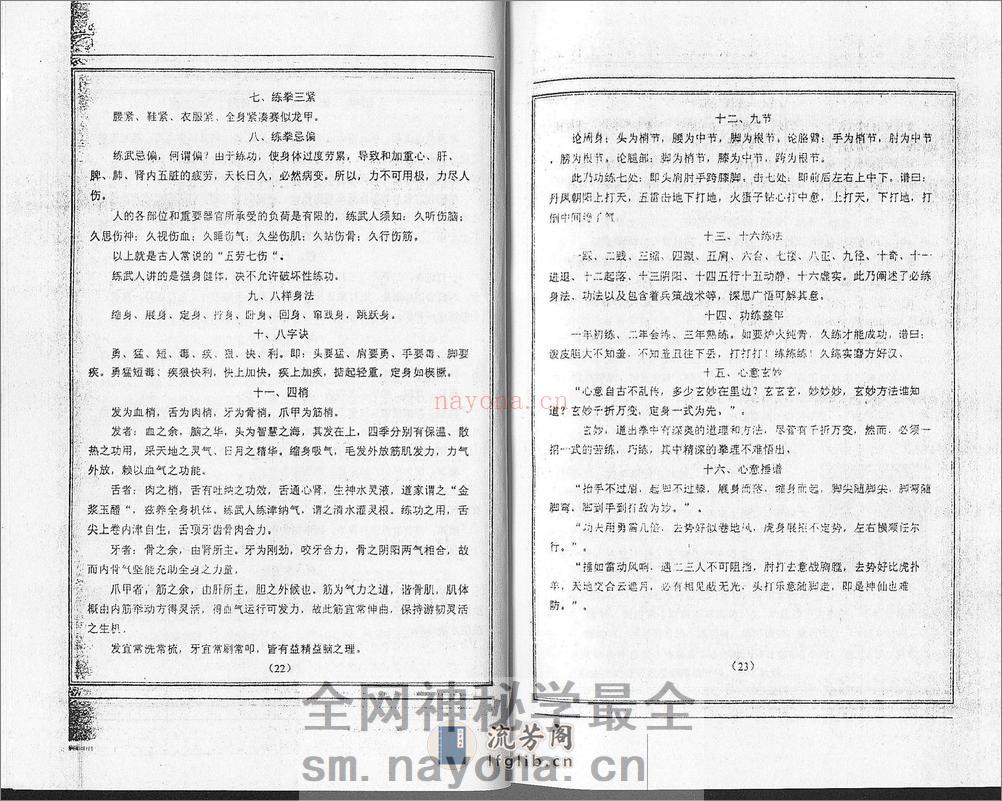 《洛阳心意拳》孙友恒 - 第10页预览图