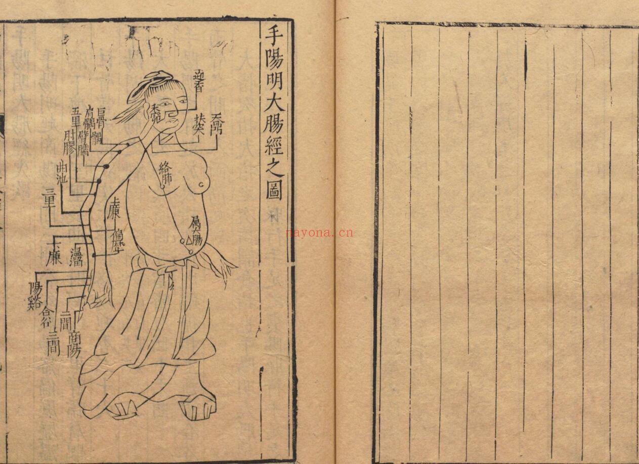 薛氏医按 二十四种本 薛己 吴琯 ,明万历间