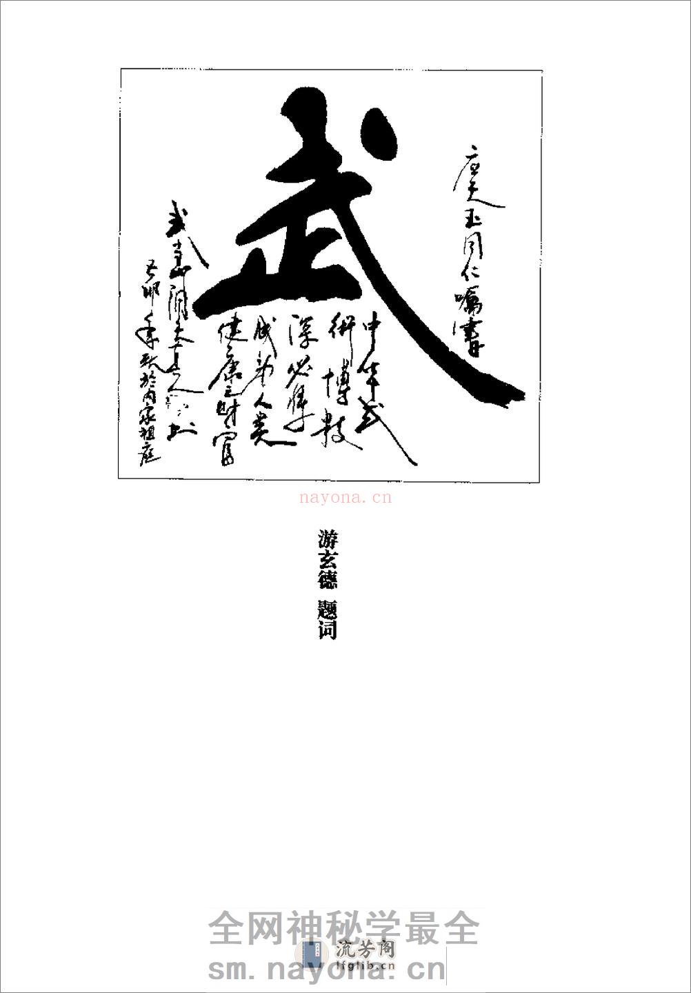 《太极凤凰剑》王天玉 - 第5页预览图