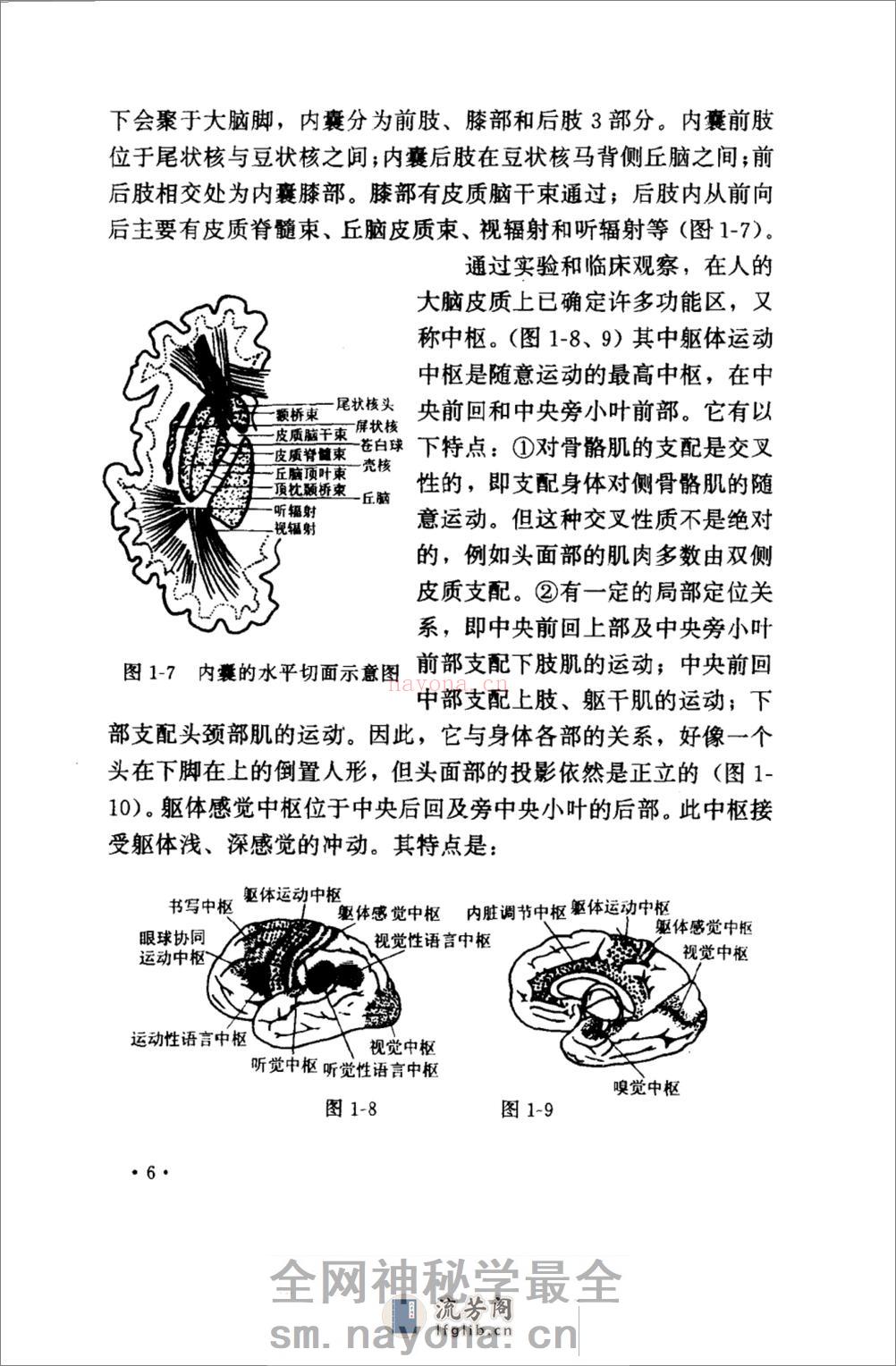 针灸六绝——针灸治疗神经疑难病_10058310_... - 第19页预览图