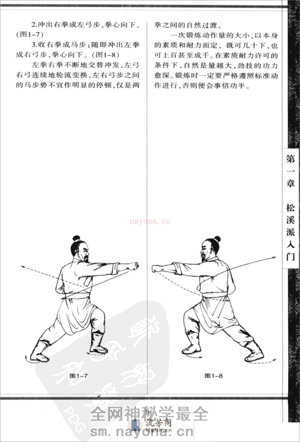 《松溪派内家武功》胡玉玺 - 第11页预览图