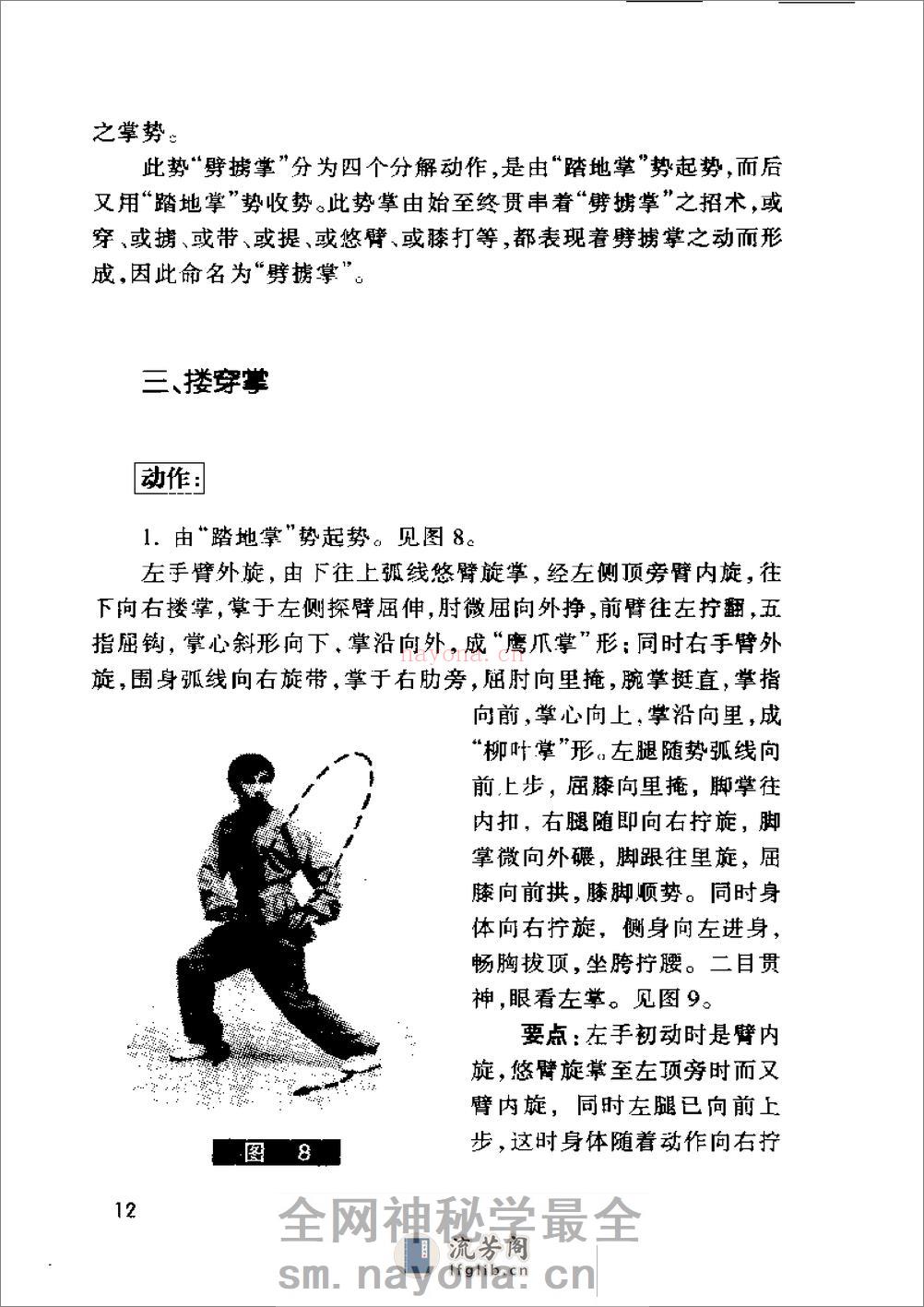 《阴阳八卦掌·狮形掌》田迴、田克延 - 第14页预览图