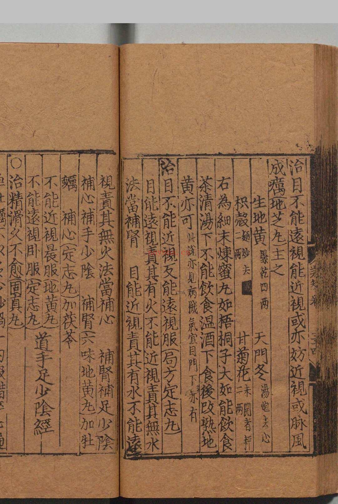 东垣十书 李杲(元)王好古(元)明正德3年 , 熊氏梅隠书堂