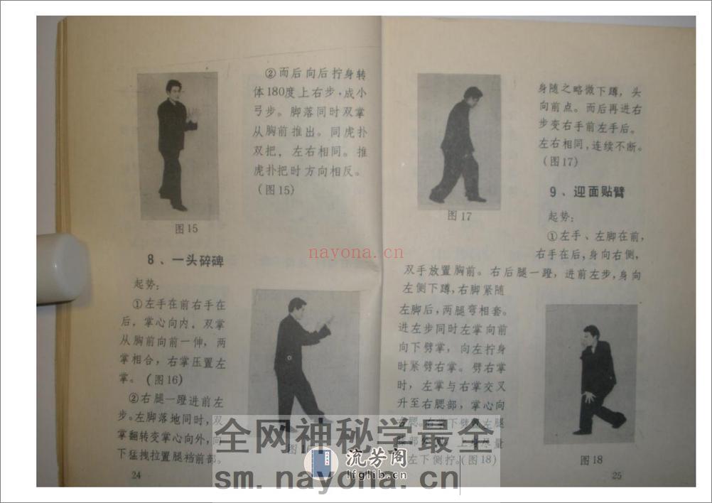 《心意六合拳》李新民 - 第20页预览图