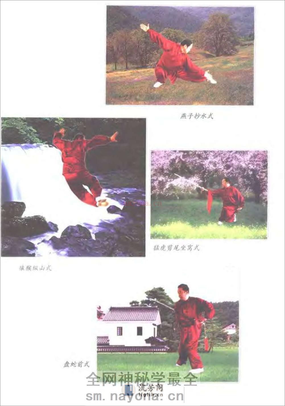 《中国尚氏形意拳》苏立志 - 第6页预览图