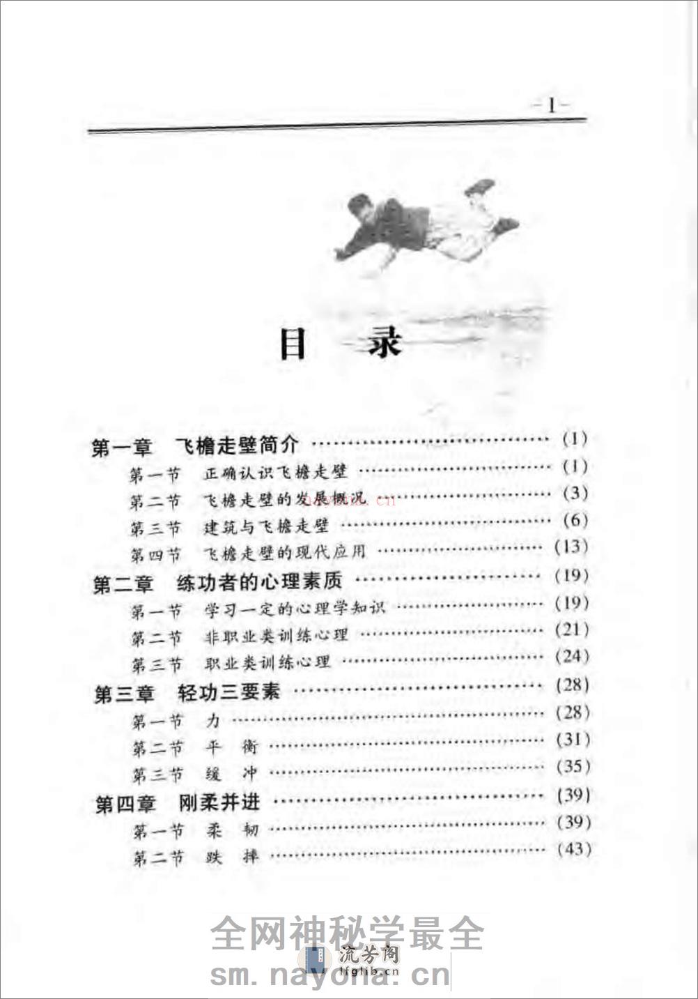 《中华武术轻功：飞檐走壁》葛强 - 第4页预览图