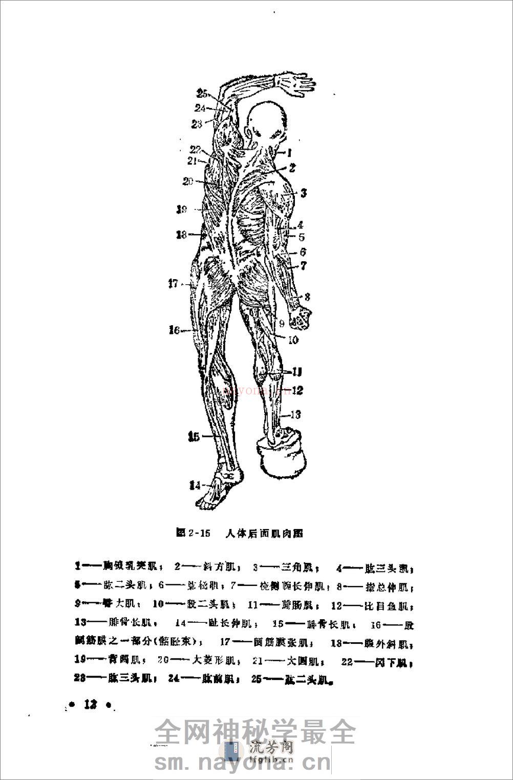 腿法 - 第15页预览图