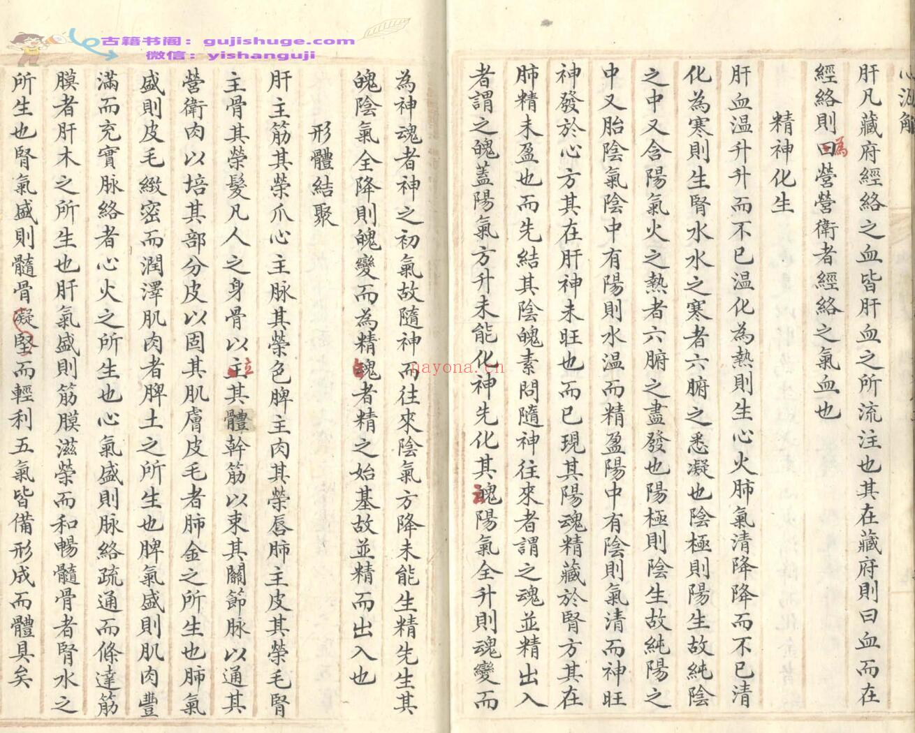 《四圣心源》