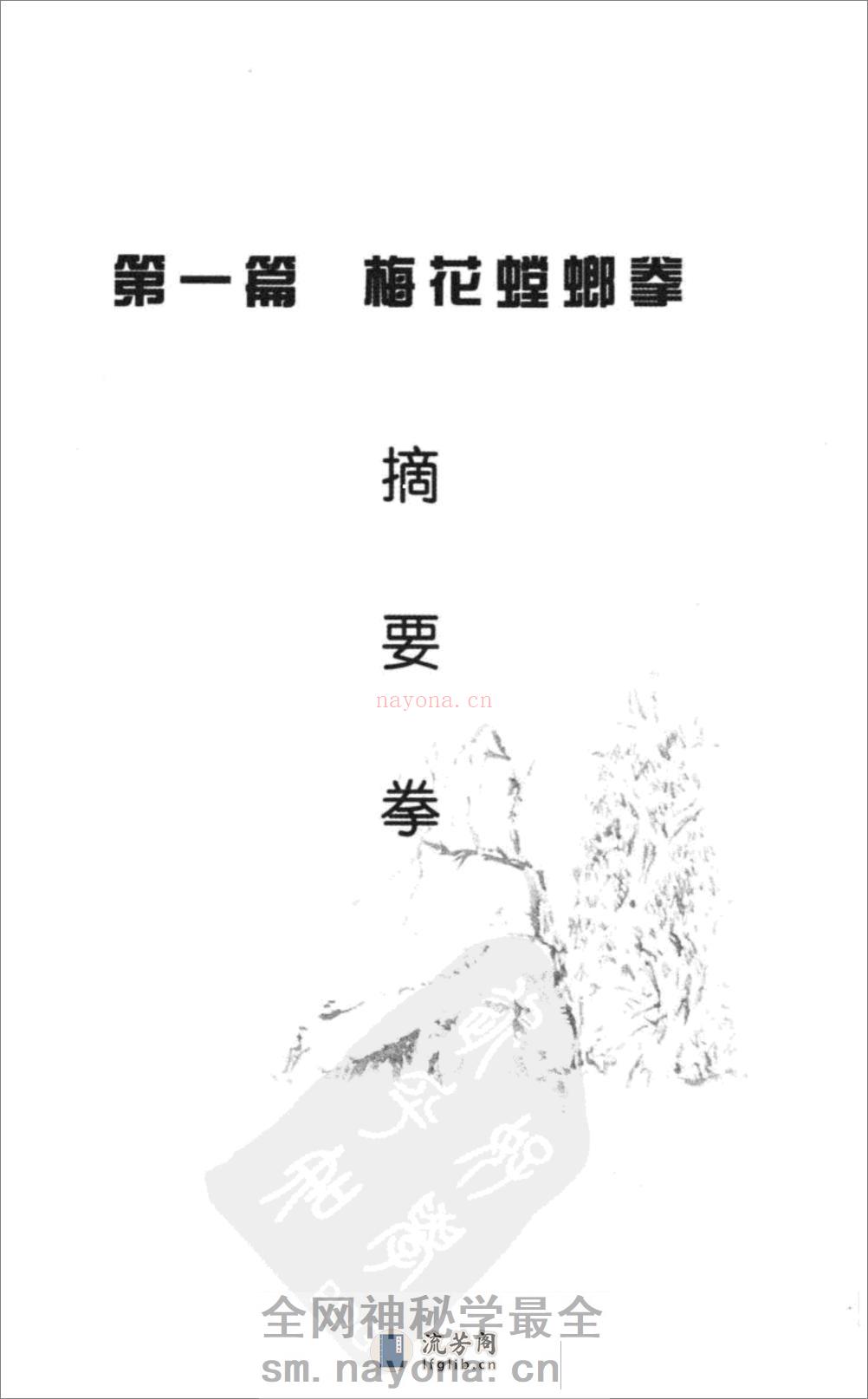《梅花螳螂拳》陈志忠 - 第10页预览图