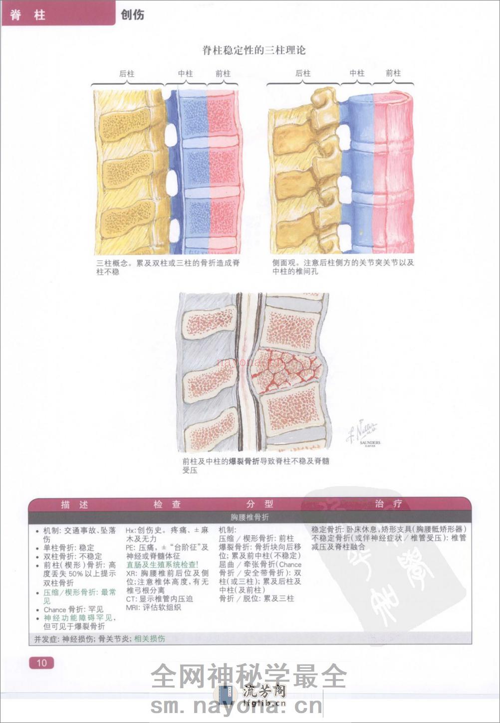 奈特简明骨科学彩色图谱（高清中文版） - 第18页预览图