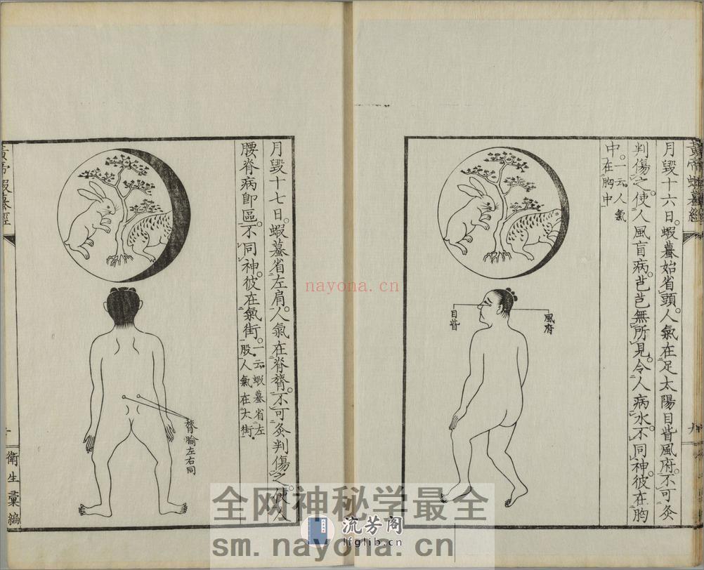 黄帝虾蟇经.一卷.日本文政六年敬业乐群楼刊卫生汇编本 - 第16页预览图