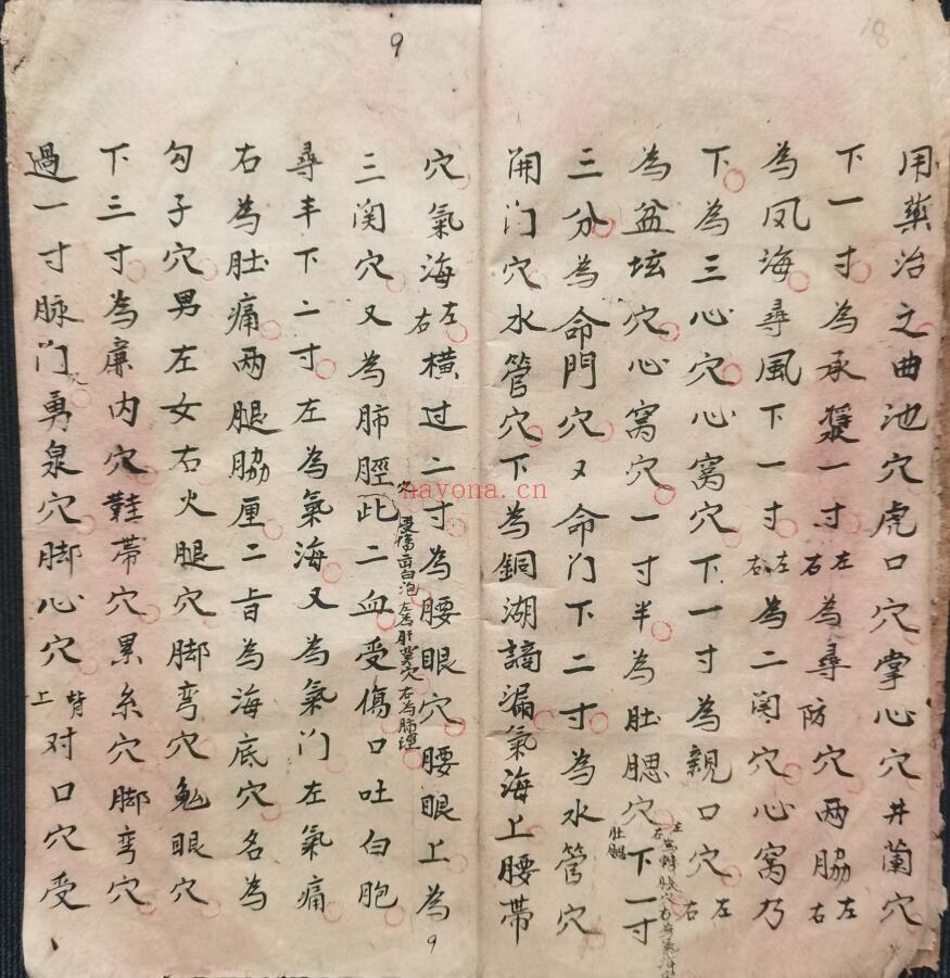 《 十二时辰穴位》