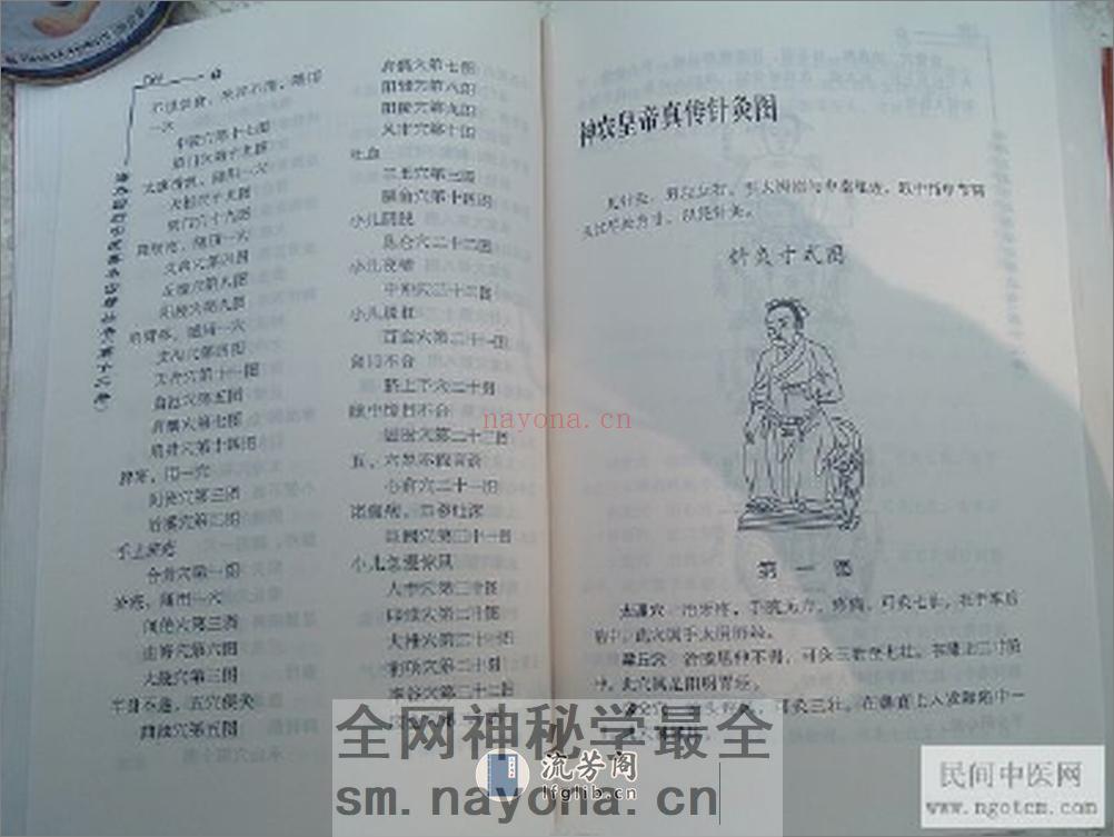 神农皇帝针灸图 - 第6页预览图