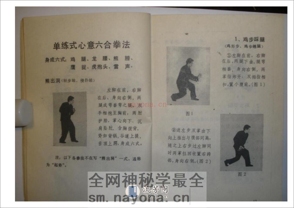 《心意六合拳》李新民 - 第16页预览图