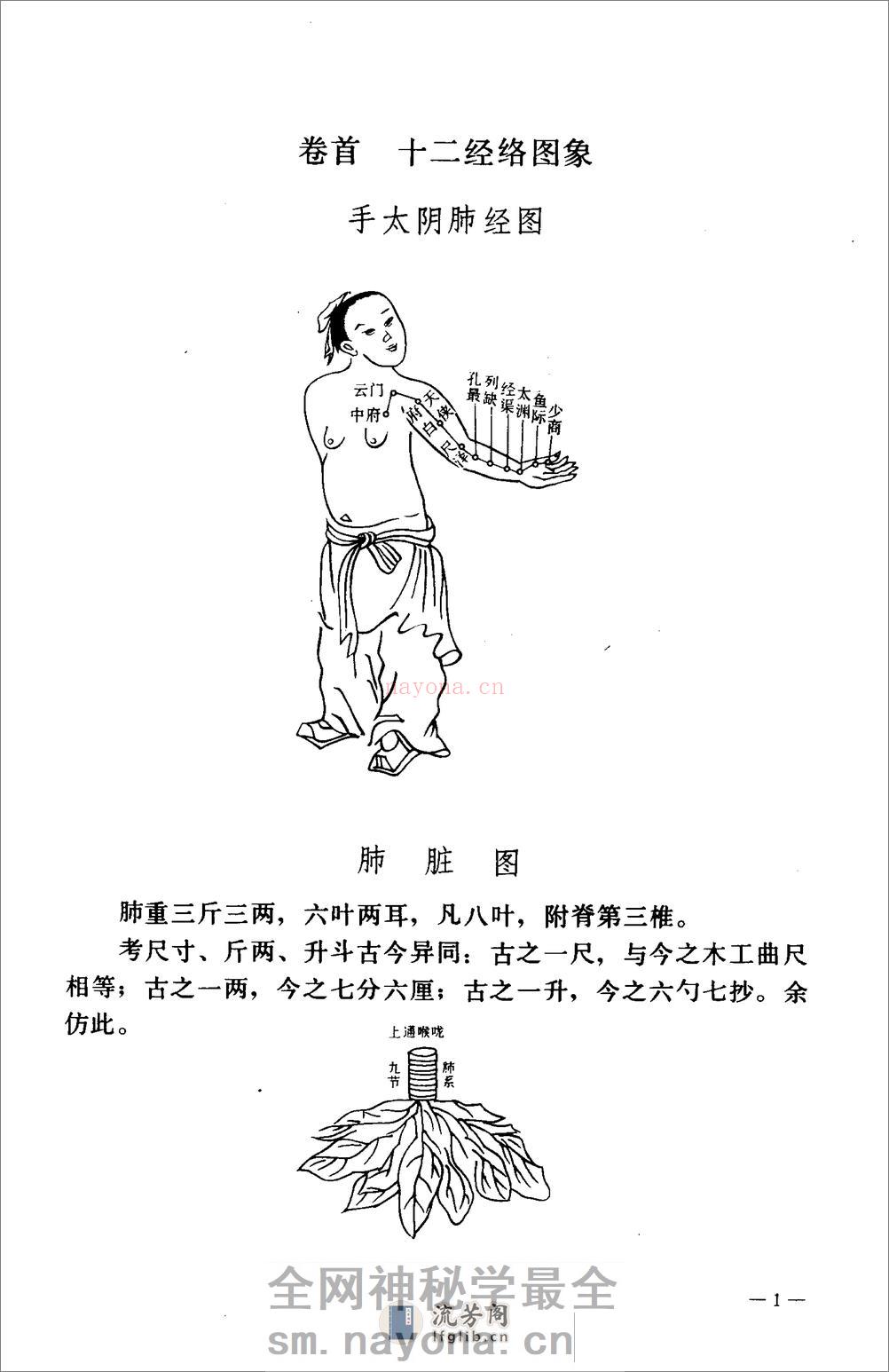 医学指归-[清]赵术堂 - 第20页预览图