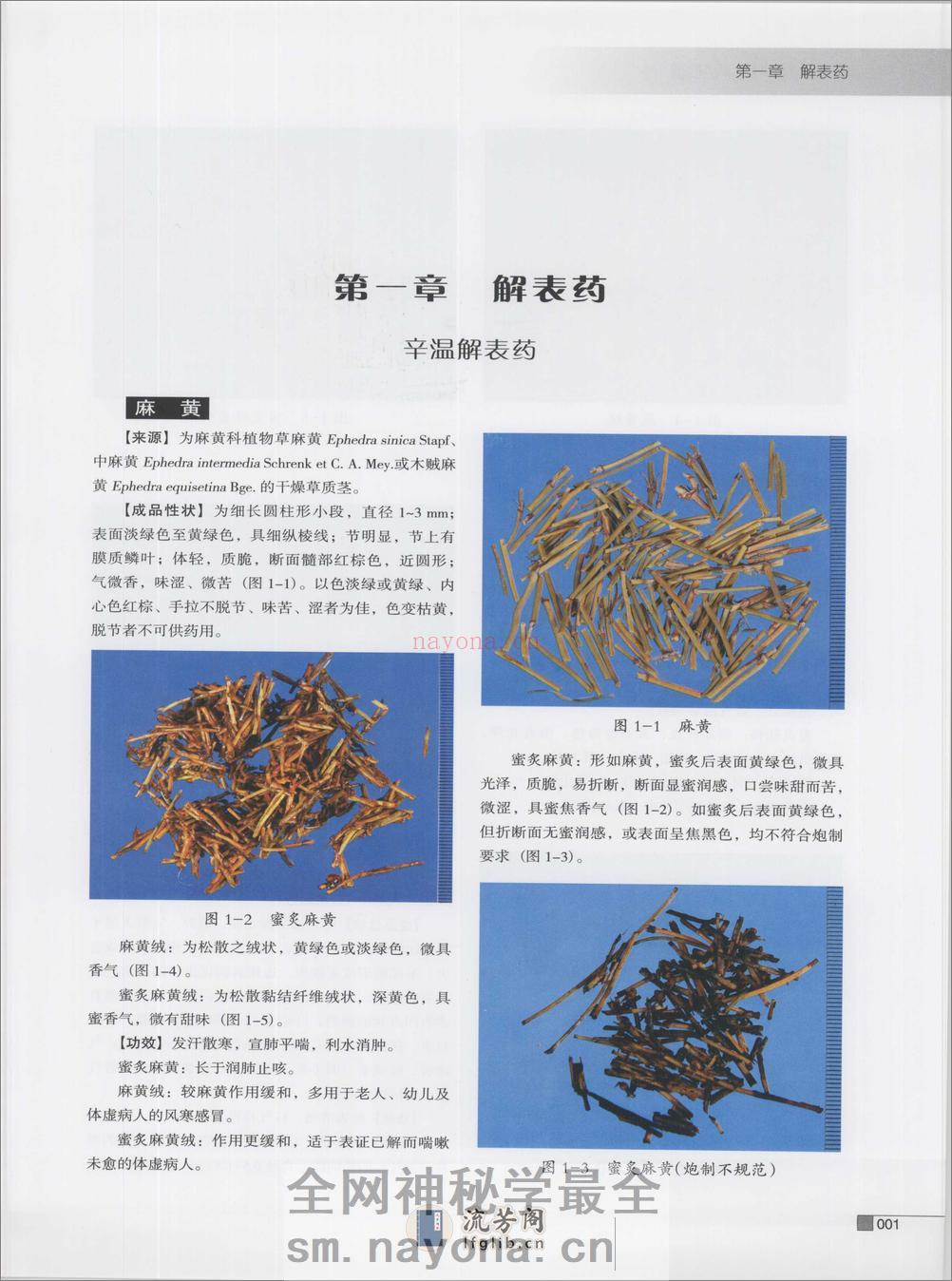 常用中药炮制品彩色图谱（高清版） - 第12页预览图
