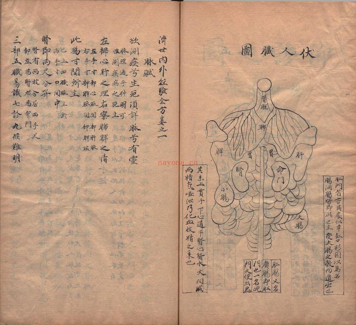 《世经验全方》