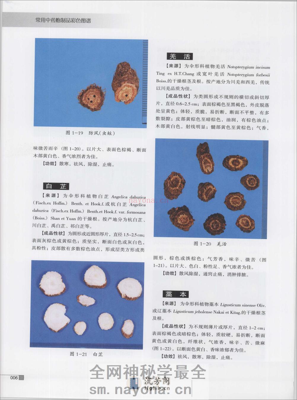 常用中药炮制品彩色图谱（高清版） - 第17页预览图