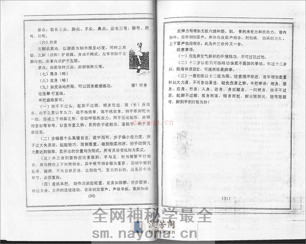 《洛阳心意拳》孙友恒 - 第14页预览图