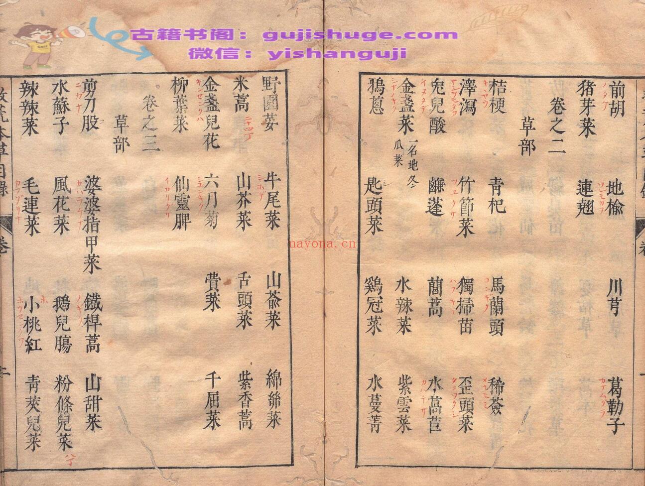 周宪王救荒本草 徐光启 王磐 明刊本