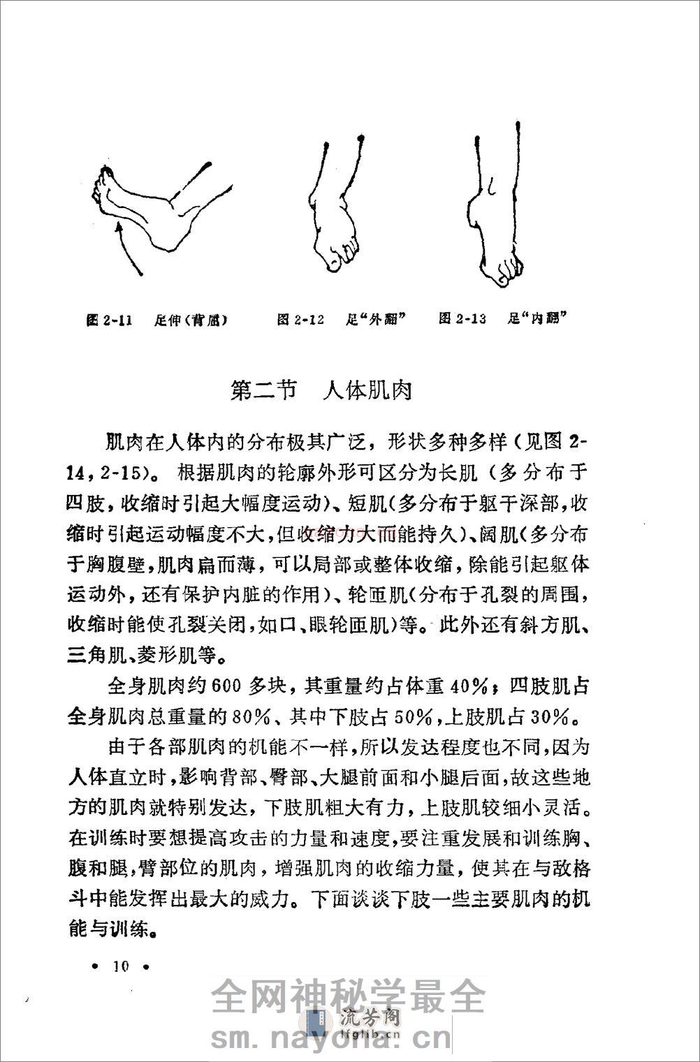 《腿击法108势》 - 第13页预览图