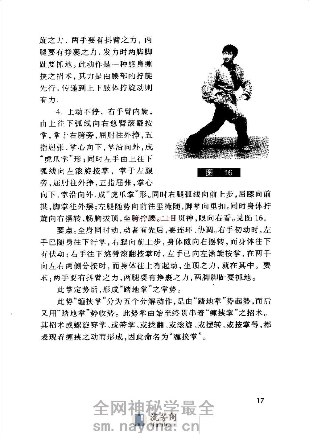 《阴阳八卦掌·狮形掌》田迴、田克延 - 第19页预览图