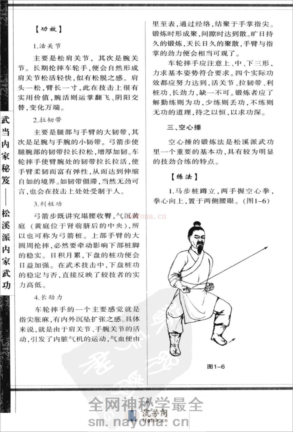 《松溪派内家武功》胡玉玺 - 第10页预览图