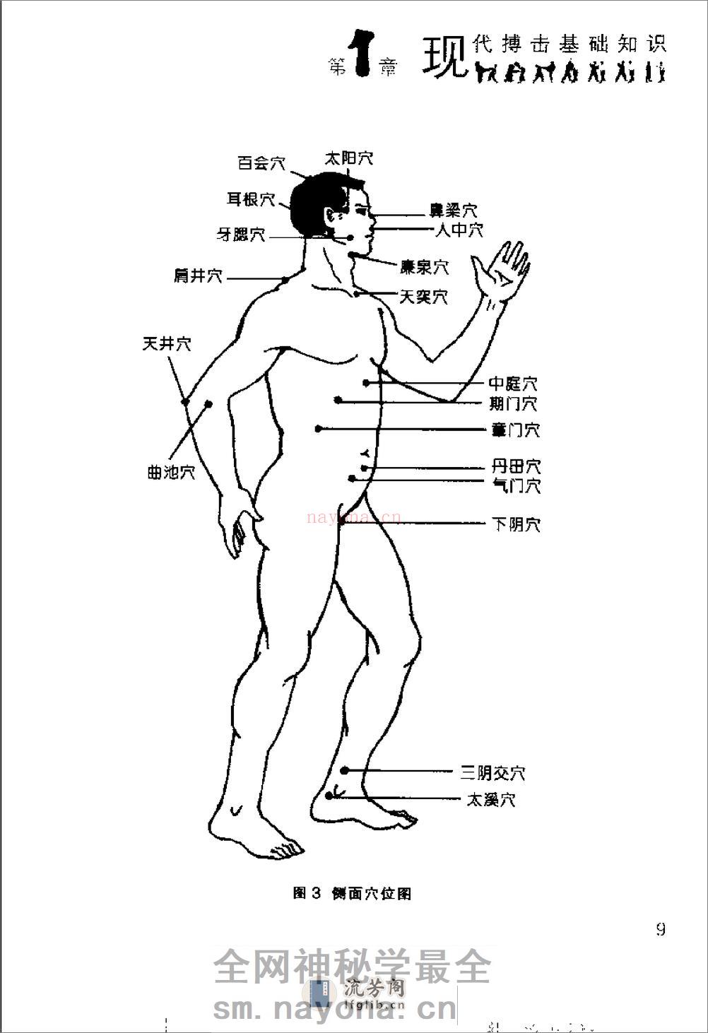 一招制敌搏击术（张正） - 第19页预览图